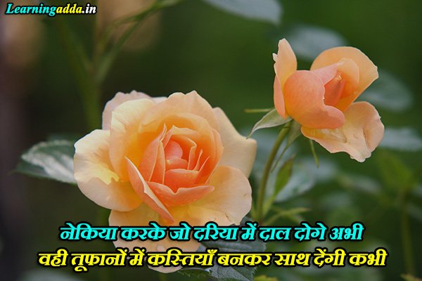 Goodness Quotes in Hindi